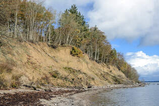 Die Steilkste bei Tormaj sdlich von Haderslev (deutsch Hadersleben) in Nordschleswig.