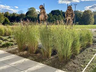 Angrenzender Skulpturengarten an der Kunsthalle in Rostock am 18.