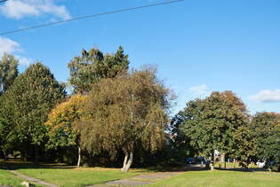Parkanlage an der Haltestelle Rostock Kunsthalle am 18.