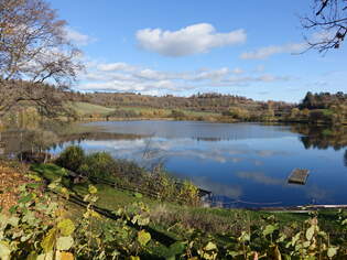 Schalkenmehrener Maar, Lkr.