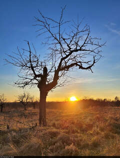 Mit viel Sonne geht das Jahr 2024 zu Ende.
