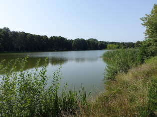 Ahlumer See im Landkreis Salzwedel (14.08.2025)