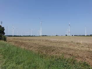 Windpark bei Jeggeleben, Lkr.