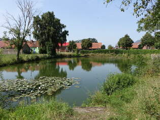 Dorfteich in Leetze, Lkr.
