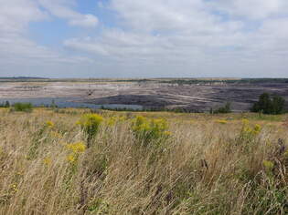 Ehemaliger Tagebau Schningen, Landkreis Helmstedt (16.08.2025)