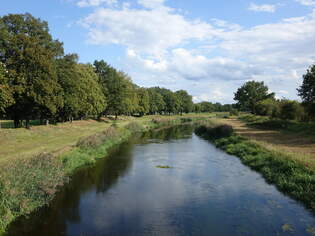 Schwarze Elster bei Saathain, Lkr.