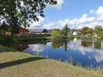 Teich in Kasel-Golzig, Brandenburg (08.09.2025)