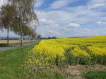 Felder bei Esbeck im Saaletal, Lkr.