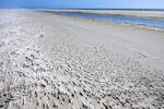 Der Kniepsand fungiert als Strand der Insel Amrum.