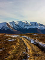 Der Berg Stoy (1685 m) im Schnee / Wolowetz, Ukraine / 07.02.2025