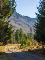 Der Berg Horn vor der Kulisse des Gelndes / Wolowetz, Ukraine / 22.03.2025