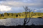 Schrenlandschaft beif Mysings sdlich von Oskarshamn (Smland, Scweden).