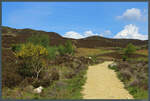 Ab etwa 400 m Hhe fhrt der Weg von Pitlochry zum Berg Ben Vrackie durch das weitgehend baumlose Schottische Hochland.