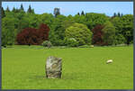 Der Dane's Stone, auch als Pitlochry Standing Stone bekannt, steht auf einer Schafweide bei Pitlochry.