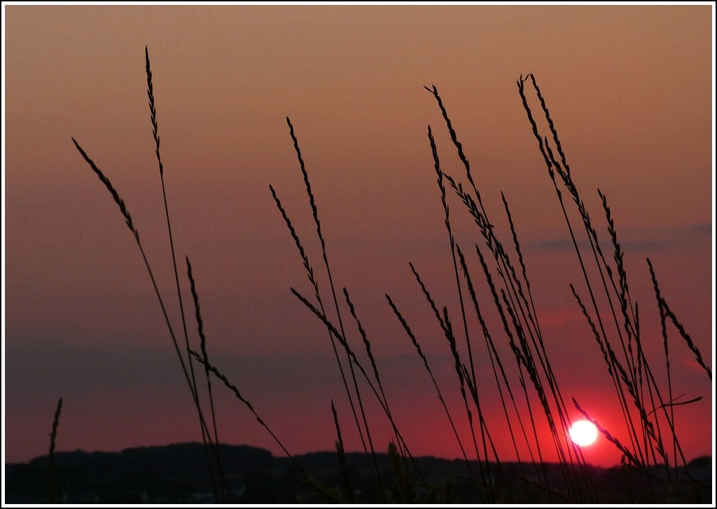 - Impressionen vom Sommer 2012 - Der Sonnenuntergang vom 25.07.2012. (Jeanny)