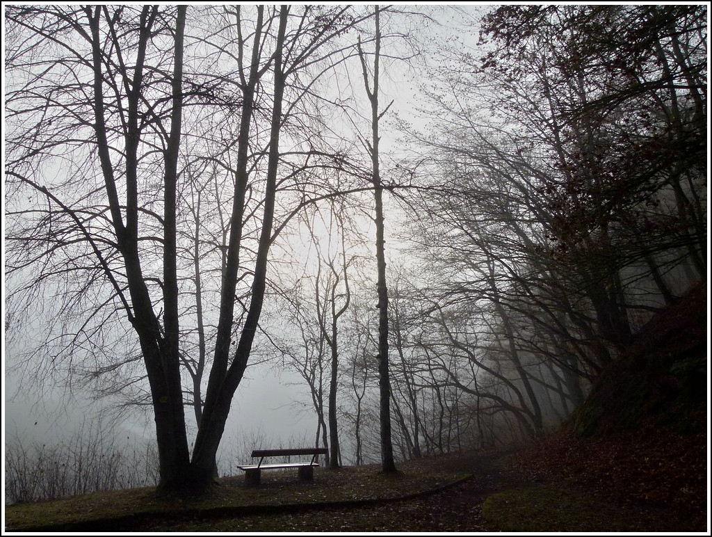 - Nebel - Dicker Nebel verhindert am 30.11.2011 die Aussicht auf den Stausee der Obersauer in der Nhe von Liefrange. (Hans)