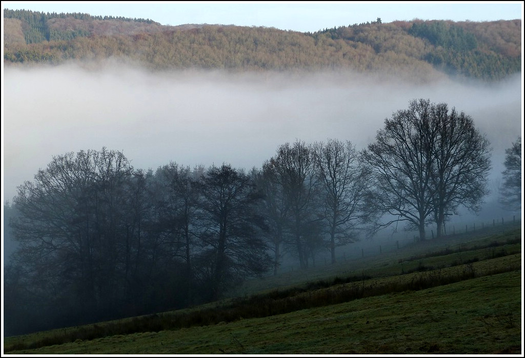 - Nebel - Zwischen Kaundorf und Liefrange bot sich mir am 30.11.2011 dieser Anblick in Richtung Mecher. (Jeanny)