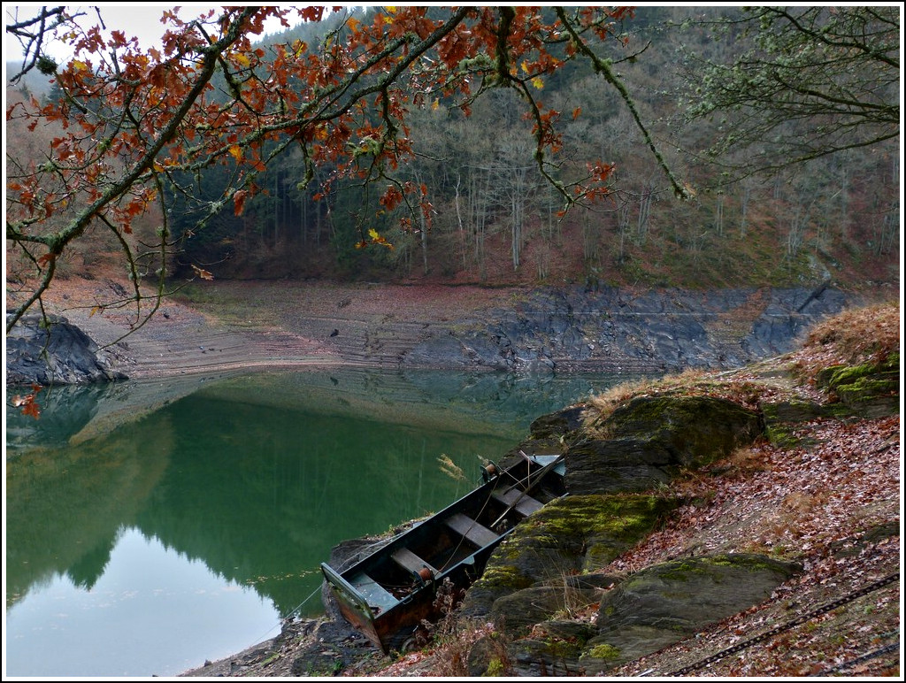 - Wassermangel - Ist der Stausee der Obersauer vollstndig gefllt, enthlt er 50 Millionen Kubikmeter, zur Zeit sind es nur noch 25 Millionen Kubikmeter und das ist berall sichtbar, wie hier in der Nhe von Baschleiden. 30.11.2011 (Jeanny)