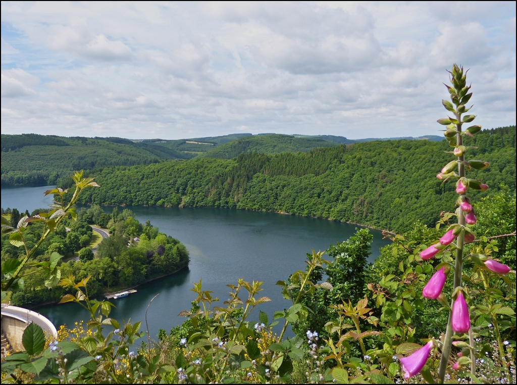 . Zwischen Kaundorf und Esch-sur-Sre hat man eine schne Aussicht auf den Stausee der Obersauer. 16.06.2013 (Jeanny)