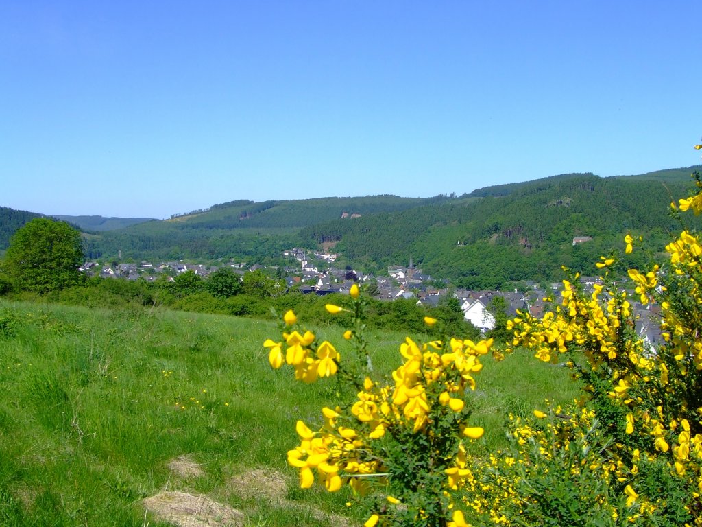 03.06.2010 Blick auf Herdorf, Landkreis Altenkirchen