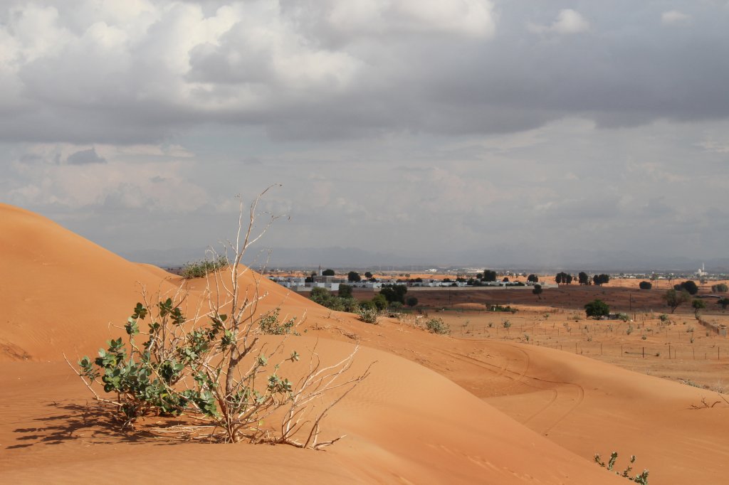 04.12.2012: In der Wste des Emirats Fujairah, im Hintergrund die Oase von Wadi Shawkah