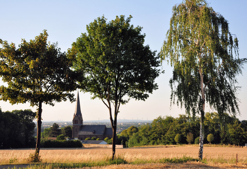 3 Laubbume am Wegesrand mit  Durchblick  auf die Kirche von Euskirchen-Billig - 24.07.2010