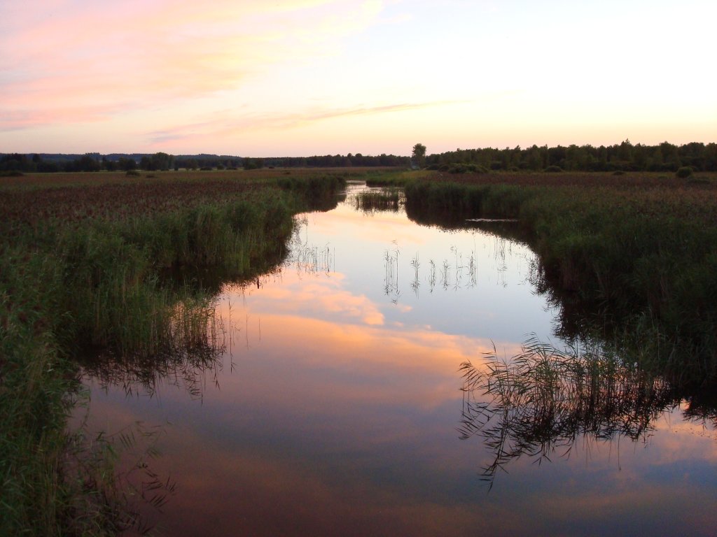 Abend am Federseekanal/Oberschwaben,
knstlich geschaffener Federseeabflu zur Wasserstandsregulierung,
Aug.2008