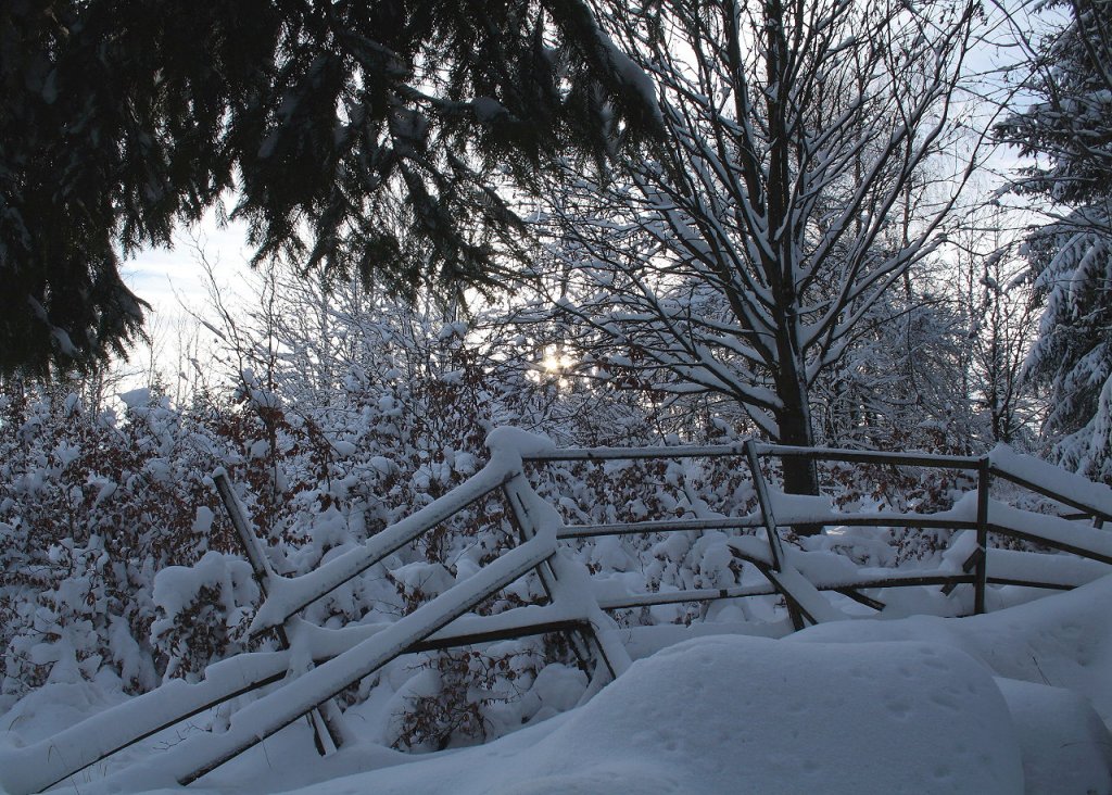 Abend im Wald auf den Jermersteinklippen; Aufnahme vom spten Nachmittag des 07.12.2012 auf dem Jermerstein bei Braunlage...