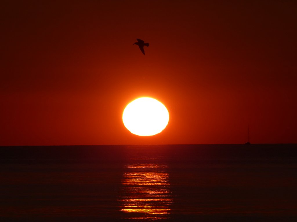 Abendlicher Spazierflug ... Khlungsborn, 20.7.2013