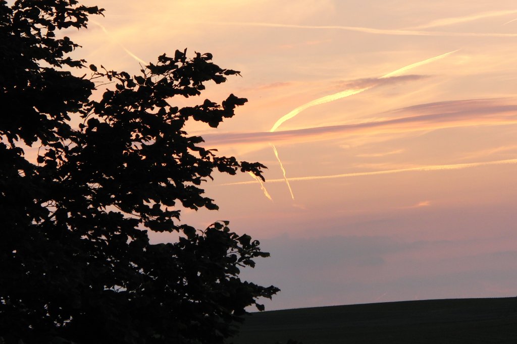 Abendlicher Wolkenhimmel an einem Feldrand bei Bischwind a.R., aufgenommen am 30.5.2012