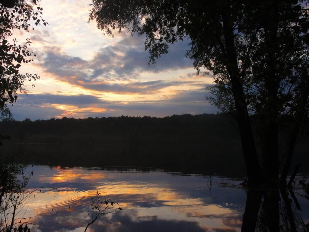 Abendlicht am Baggersee in Kln-Dellbrck (Juli 2011)