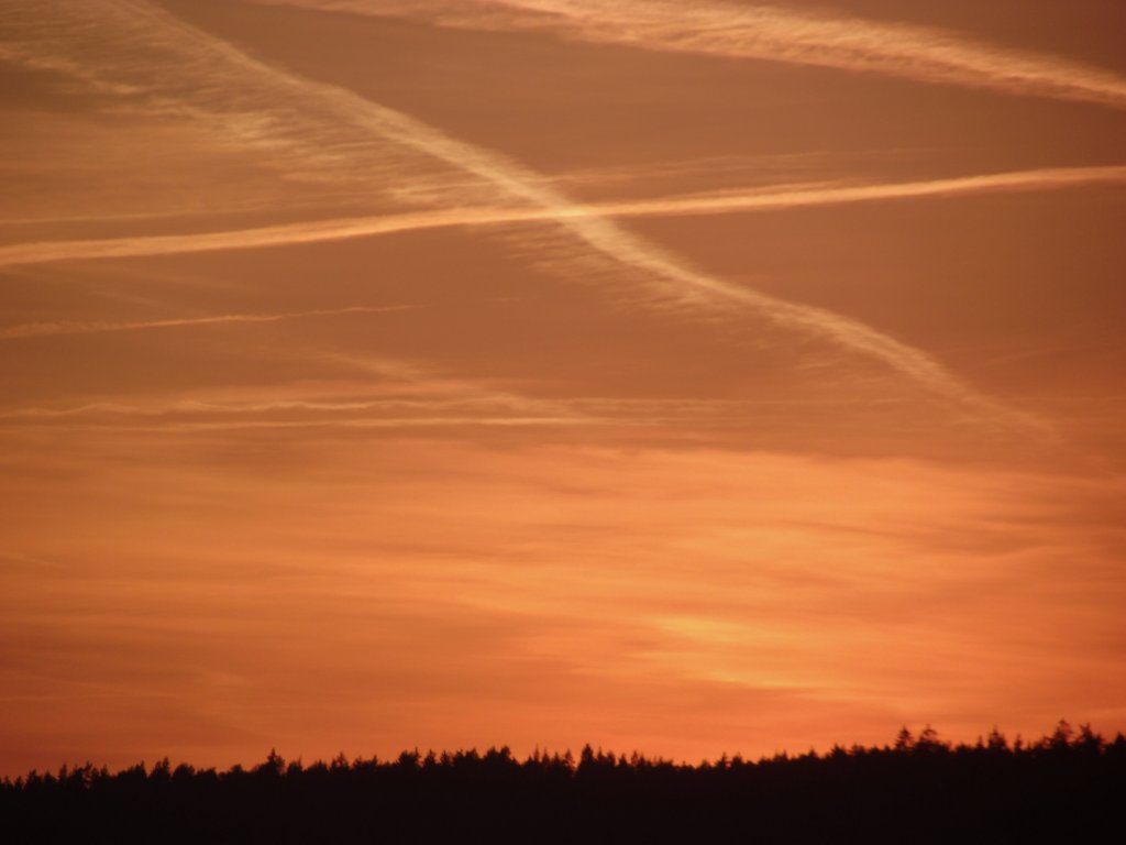 Abendstimmung am 22. Mrz 2011 bei Kronach.