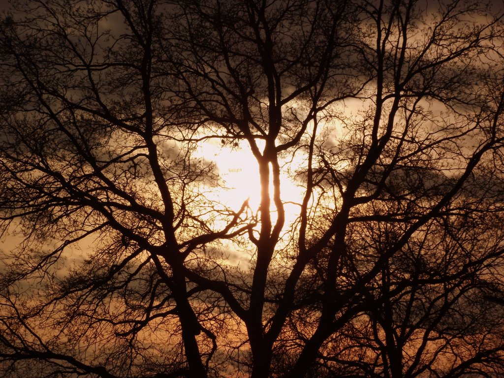 Abendstimmung am 7. April 2011 ber Kronach-Kreuzberg.