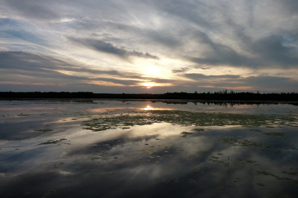 Abendstimmung am Federsee, Aug.2012