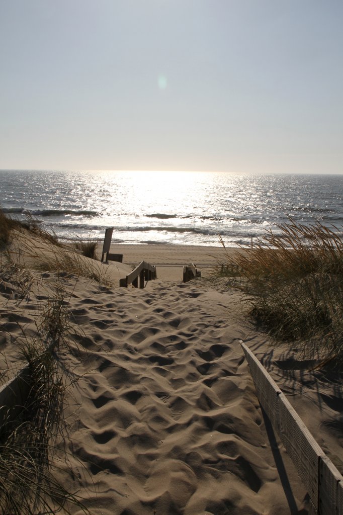 Abendstimmung in den Dnen. Praia De Mira am 17.06.2010.