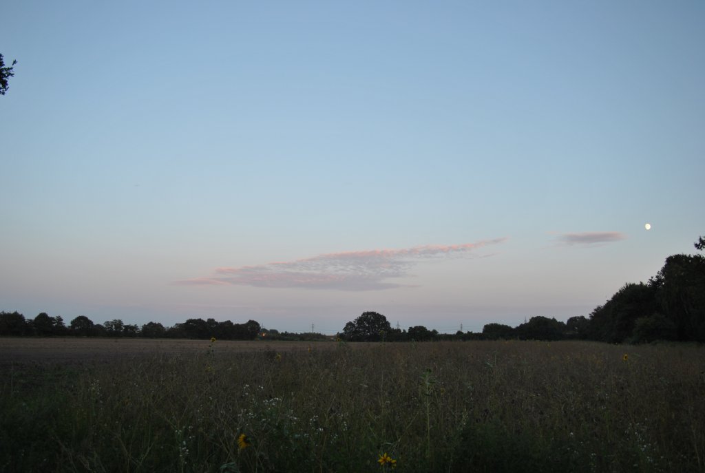 Abendstimmung ber einen Feld bei Lehhrte, am 20.08.10