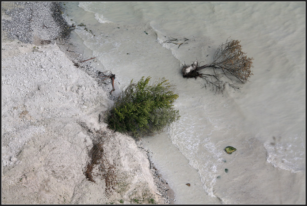 Abgerutscht - 

Zwei Bäume liegen am Strand an Rügens Kreideküste. 

26.08.2011 (M)