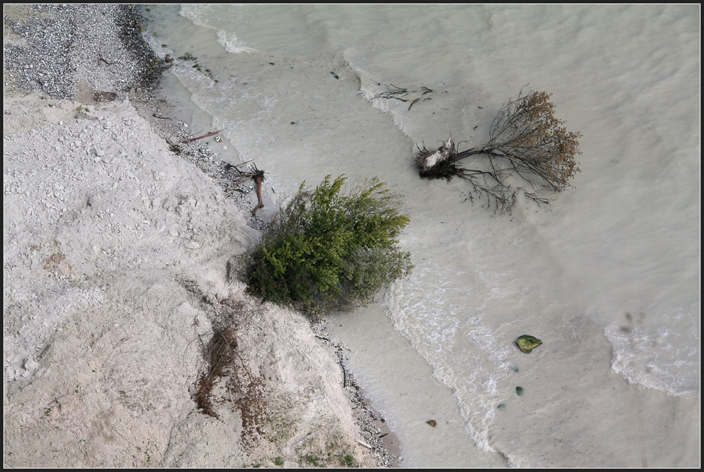 Abgerutscht - 

Zwei Bäume liegen am Strand an Rügens Kreideküste. 

26.08.2011 (M)