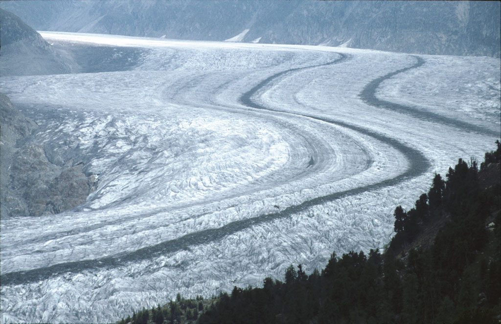 Aletschgletscher, aufgenommen aus dem Aletschwald im Sommer 1981