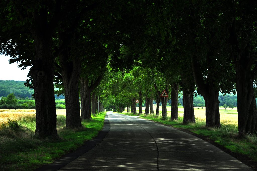 Alle im Schlagschatten der Bume - Euskirchen 18.06.2011