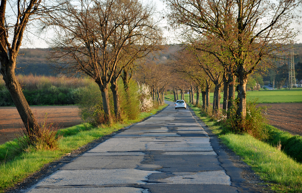 Allee mit  Flickerlteppich , nicht 1990 im Osten, sondern 2010 im Westen !!!! Notdrftig geflickte Landstrae zwischen Euskirchen und Billig (der Name ist Programm !!) - 17.04.2010