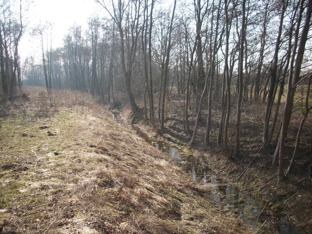 Alles erweckt wieder aus dem Winterschlaf und die Sonne scheint immer krftiger.