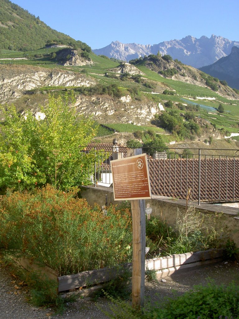 Alpiner Garten von Saillon, Rhonetal (14.09.2010)