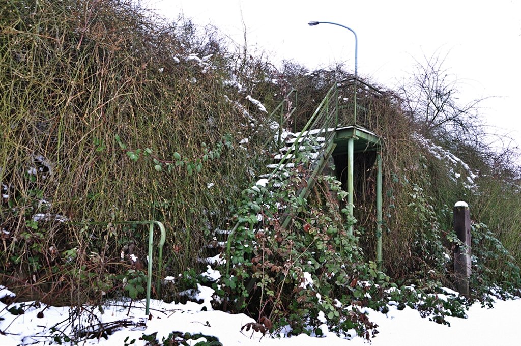 alte eiserne Treppe im verschneiten Weinheim, 29.01.2010