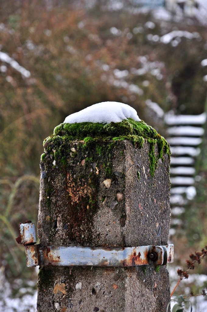 alter Betonpfeiler mit kleiner weier Mtze, Winter 2010 - 29.01.10