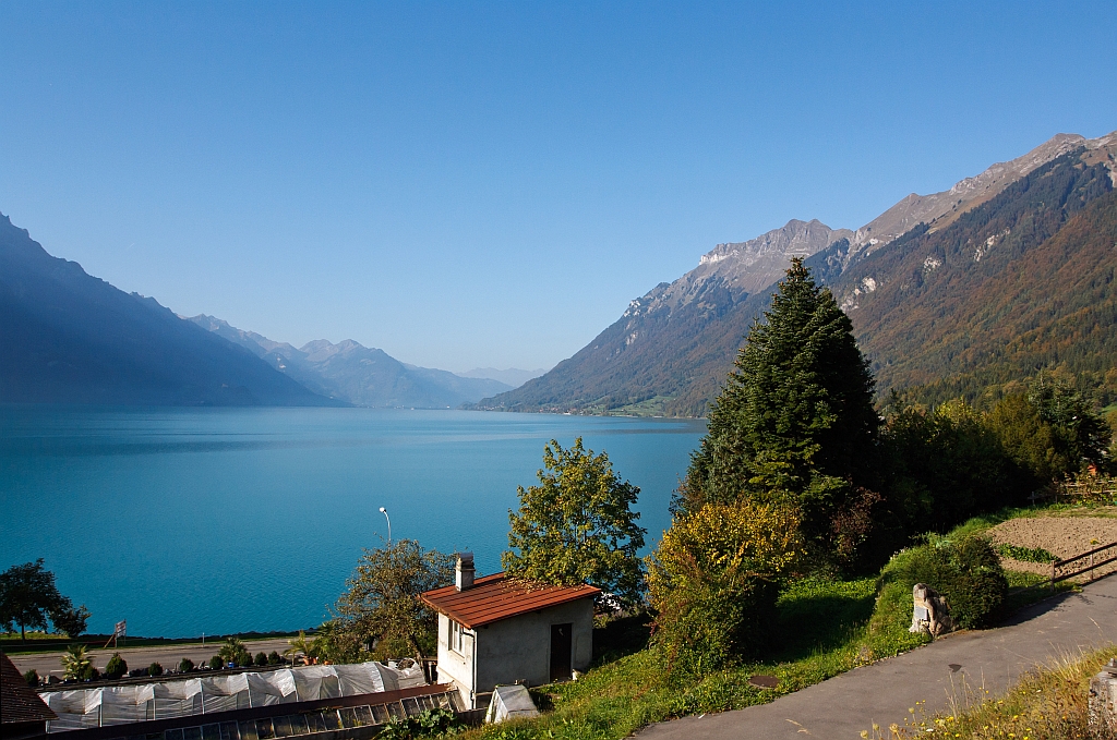 Am 02.10.2011 mit der RB der zb von Brienz nach Interlaken. Hier bei Brienz West der Blick aus dem Zug ber den Brienzersee Richtung Interlaken.