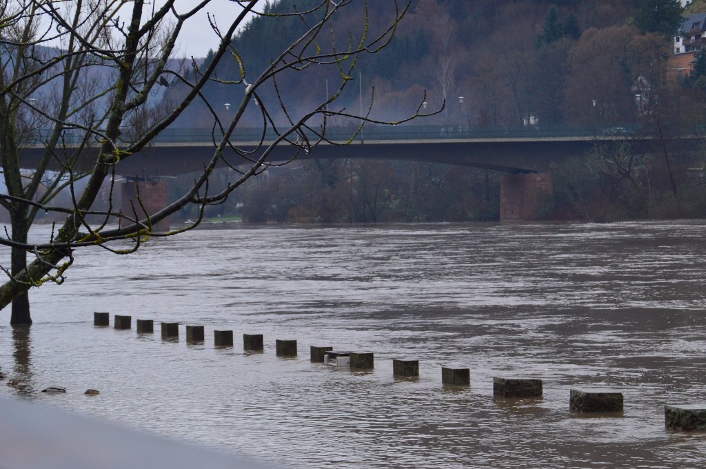 Am 16.12.2012 steigt der Neckar aus seinem Bett hier ist er bei Eberbach zu sehen.