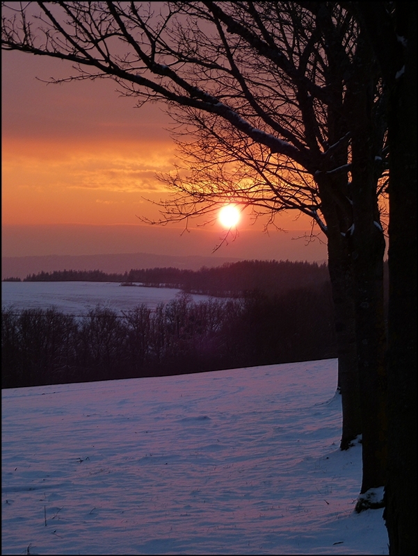Am 17.01.2013 verabschiedet sich die Sonne in der Nähe von Eschweiler. (Jeanny)