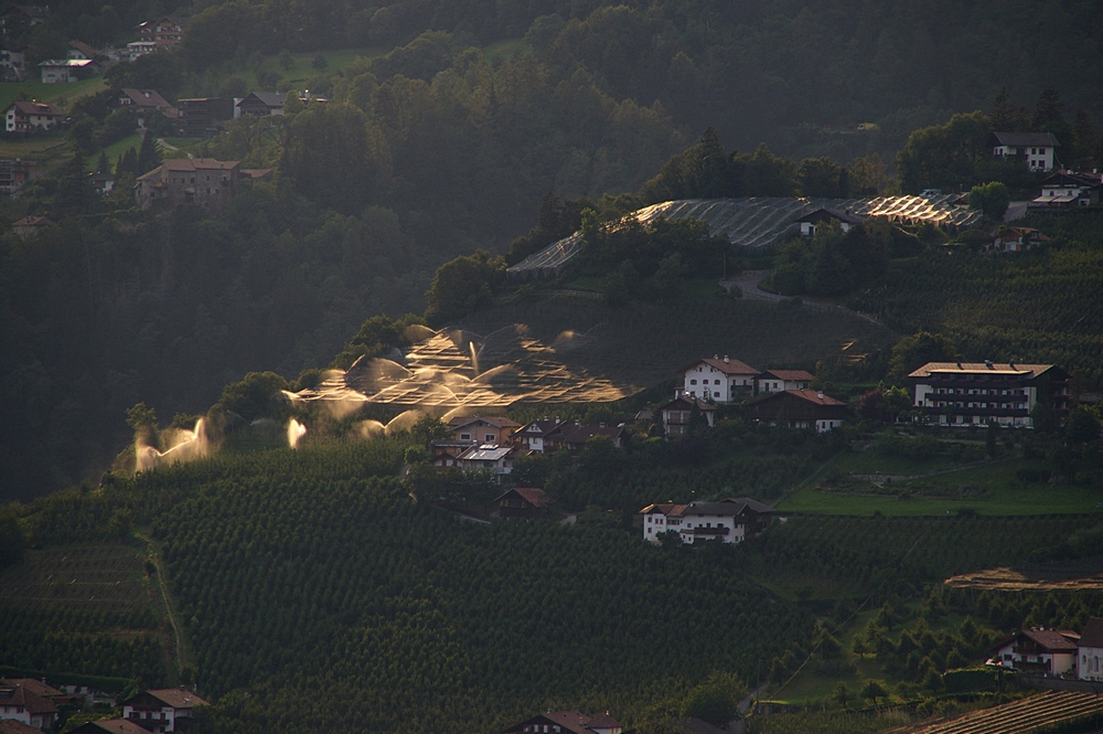 Am Abend des 3. August 2012 werden die Obstgrten von Dorf Tirol bewssert. Aufgenommen aus Schenna von der gegenberliegenden Talseite aus.