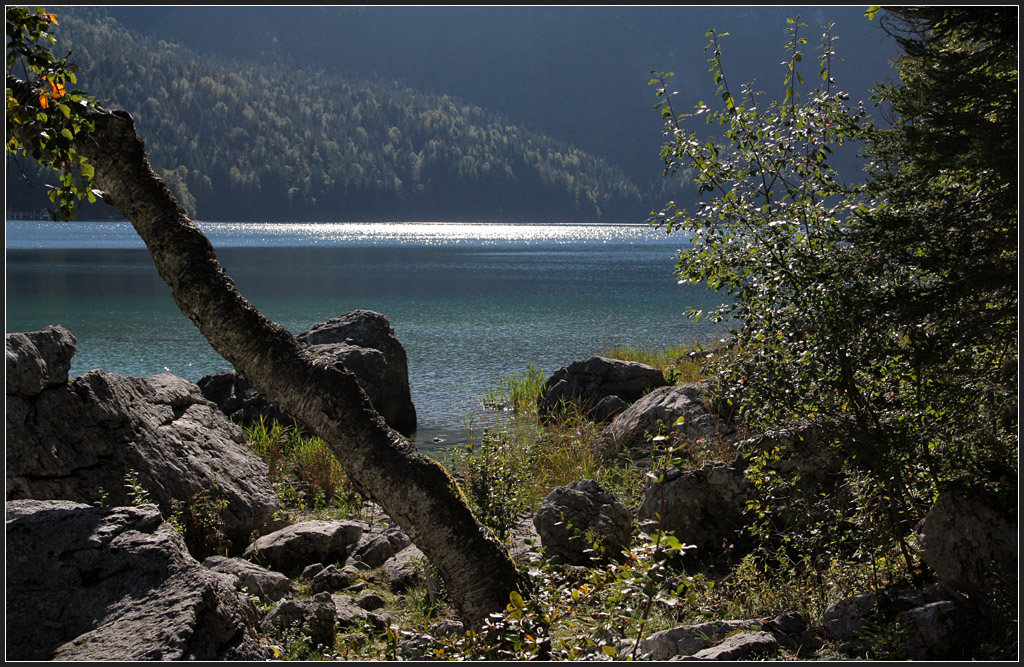 Am Eibsee - 

Dieser Bergsee liegt unterhalb der Zugspitze und ist von Garmisch-Partenkrichen mit der Zahnradbahn erreichbar. 

21.09.2011 (M)